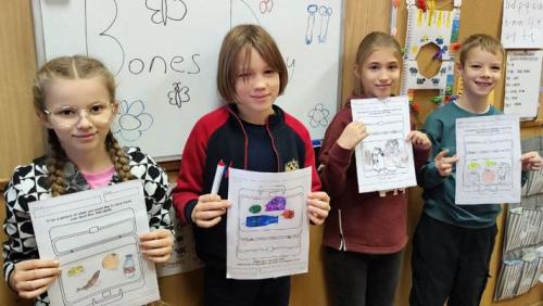 World Osteoporosis Day -school