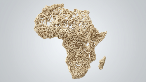 Africa bone