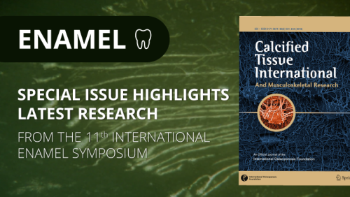 ENAMEL special issue