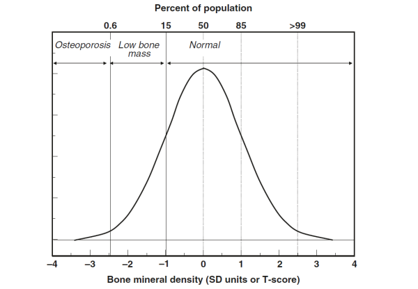 Bone mineral density distribution