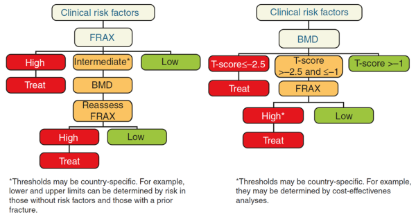 Approaches to the use of FRAX®