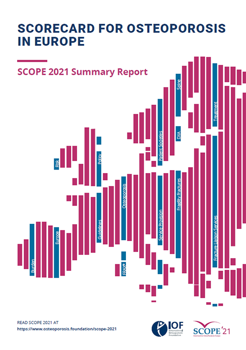 Scope 2021 - Illustrated summary report