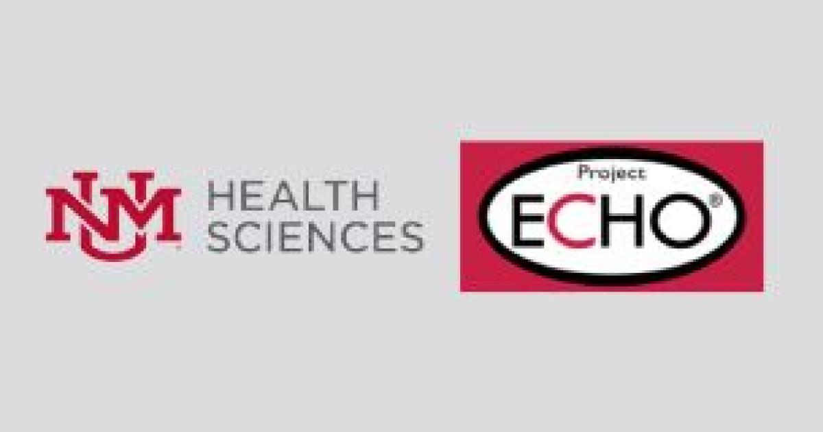 Project Echo Logo