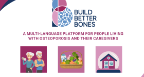 Build Better Bones website