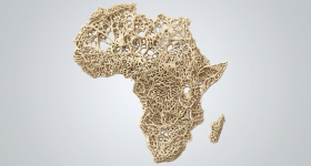 Africa bone