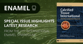ENAMEL special issue