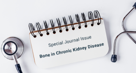 special issue bone and chronic kidney disease
