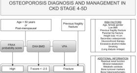 OP management in chronic CKD stages 4-5D